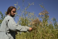 Liriane Petry - Co-Founder & COO - PURA - Regenerative Cultures &  Nature-based Solutions