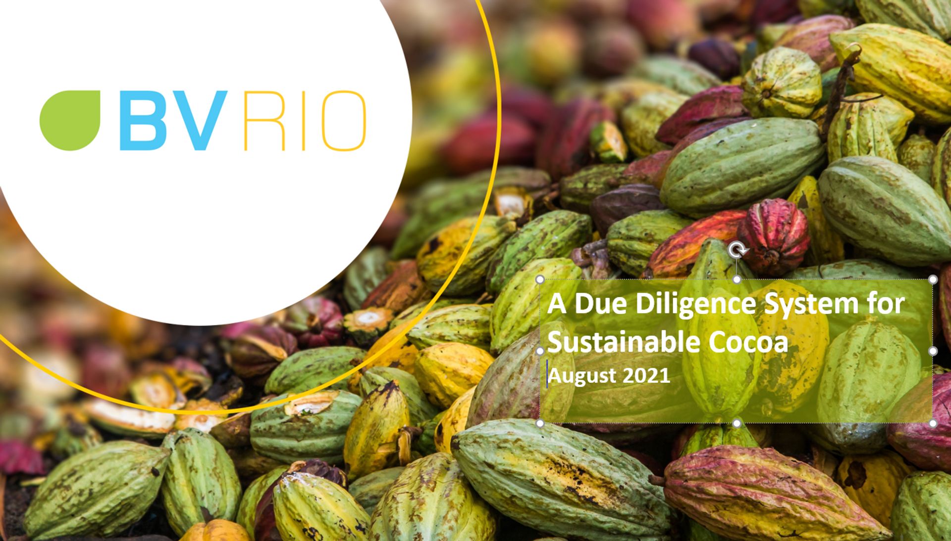 BVRio Cocoa Due Diligence System for Ghana UpLink Contribution