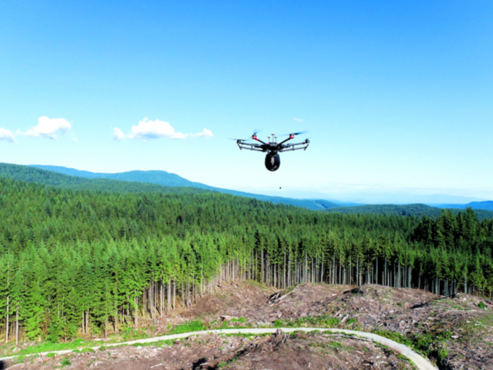 Flash Forest Drone Reforestation UpLink Contribution