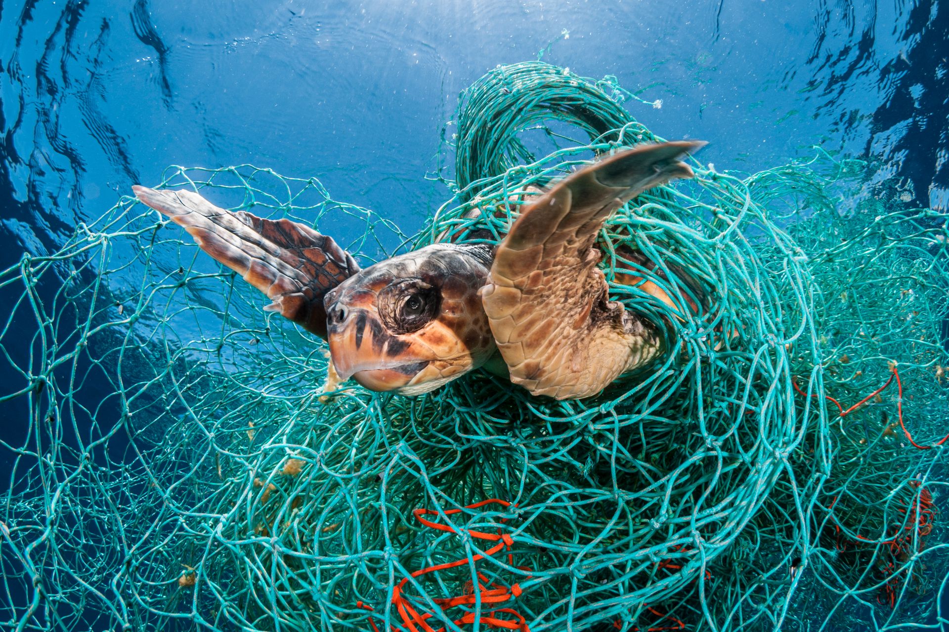 Hydan Singapore Pte Ltd POWR Project Ocean Waste Recycling UpLink