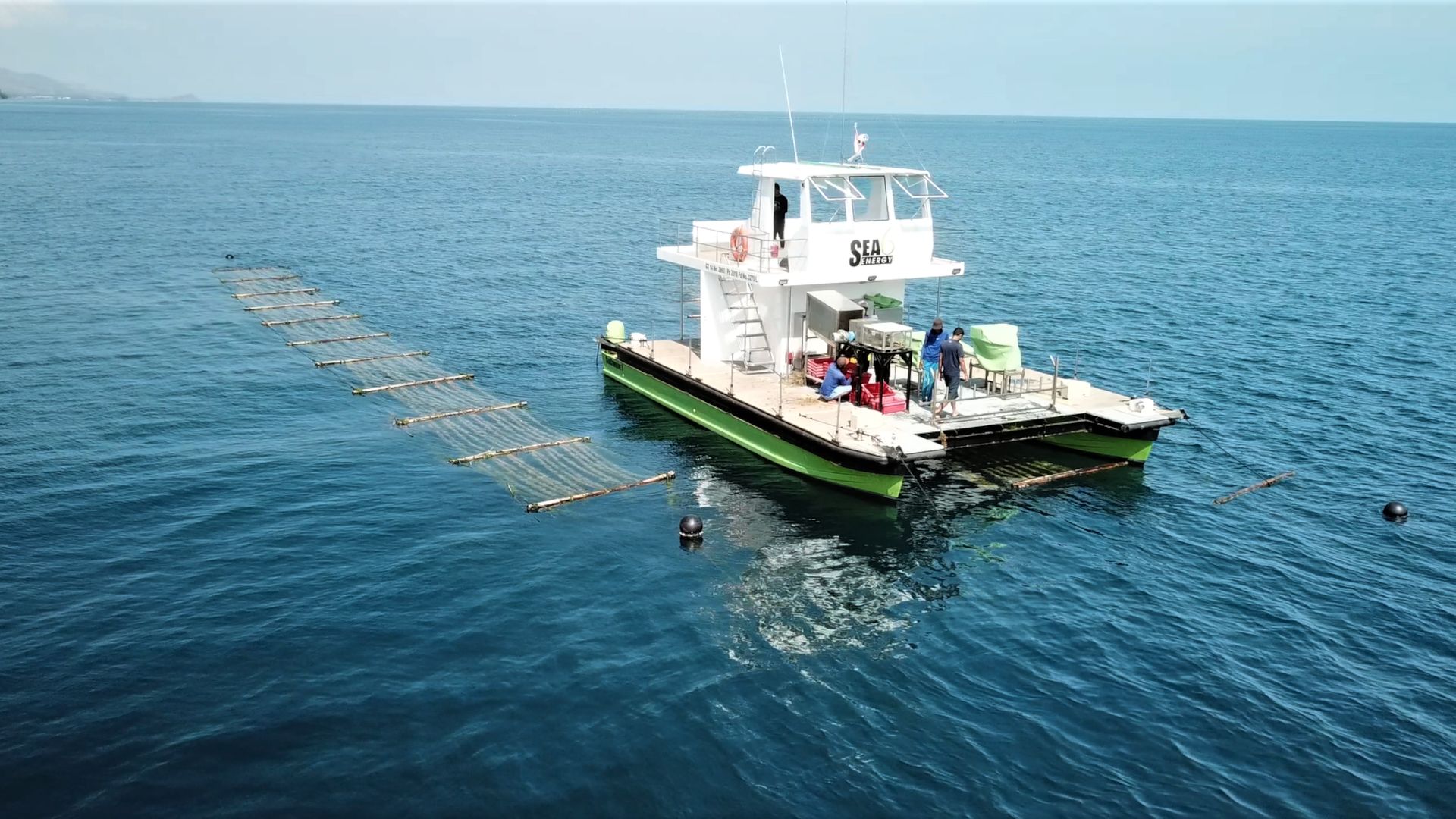 Contribution Sea6 Energy, Revolutionizing tropical seaweed farming in