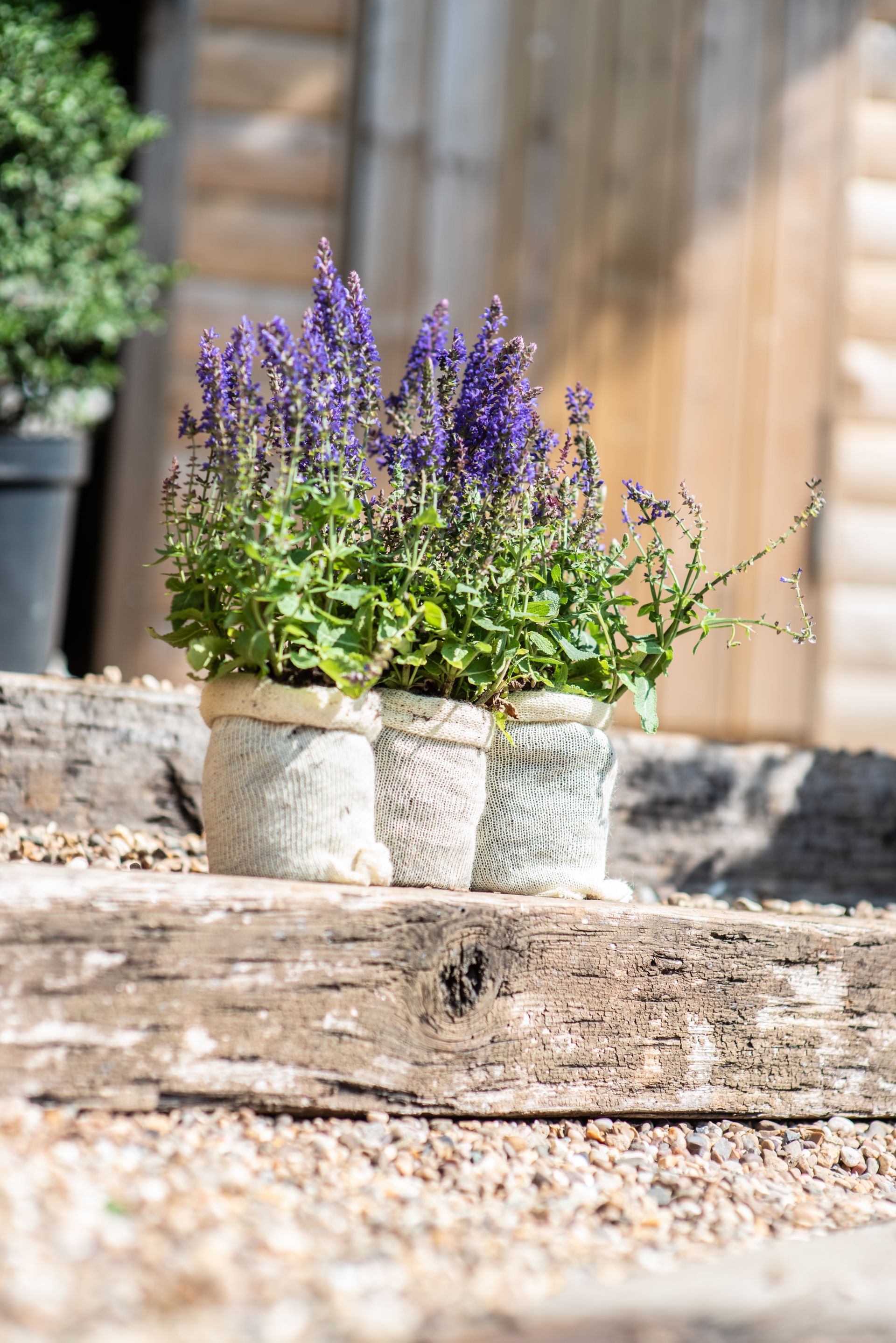 Fabric planters: Potted profits - Garden Center