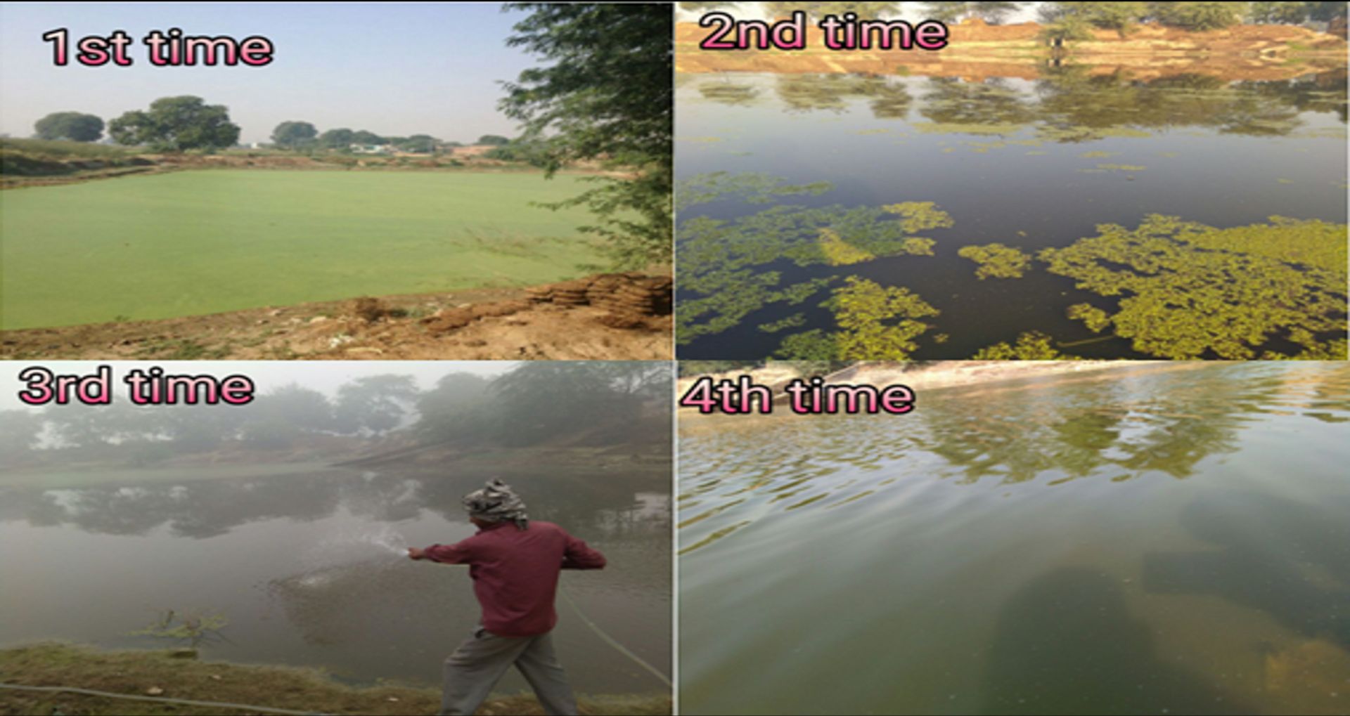 Phycospectrum Waste water Treatment using MicroAlgae UpLink