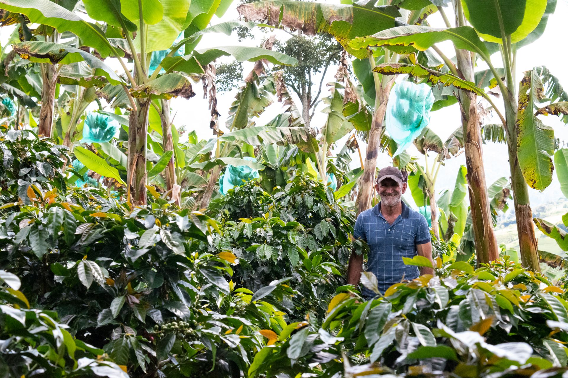 RGC Coffee Building regenerative coffee ecosystems UpLink Contribution