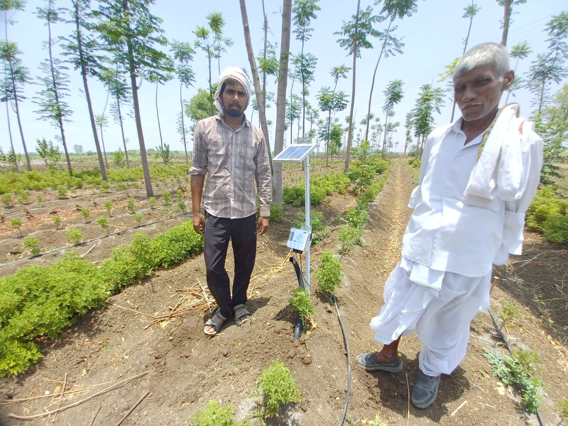 SENSE IT OUT INTELLIGENT SOLUTIONS PVT LTD Affordable smart farm Circuit Diagram