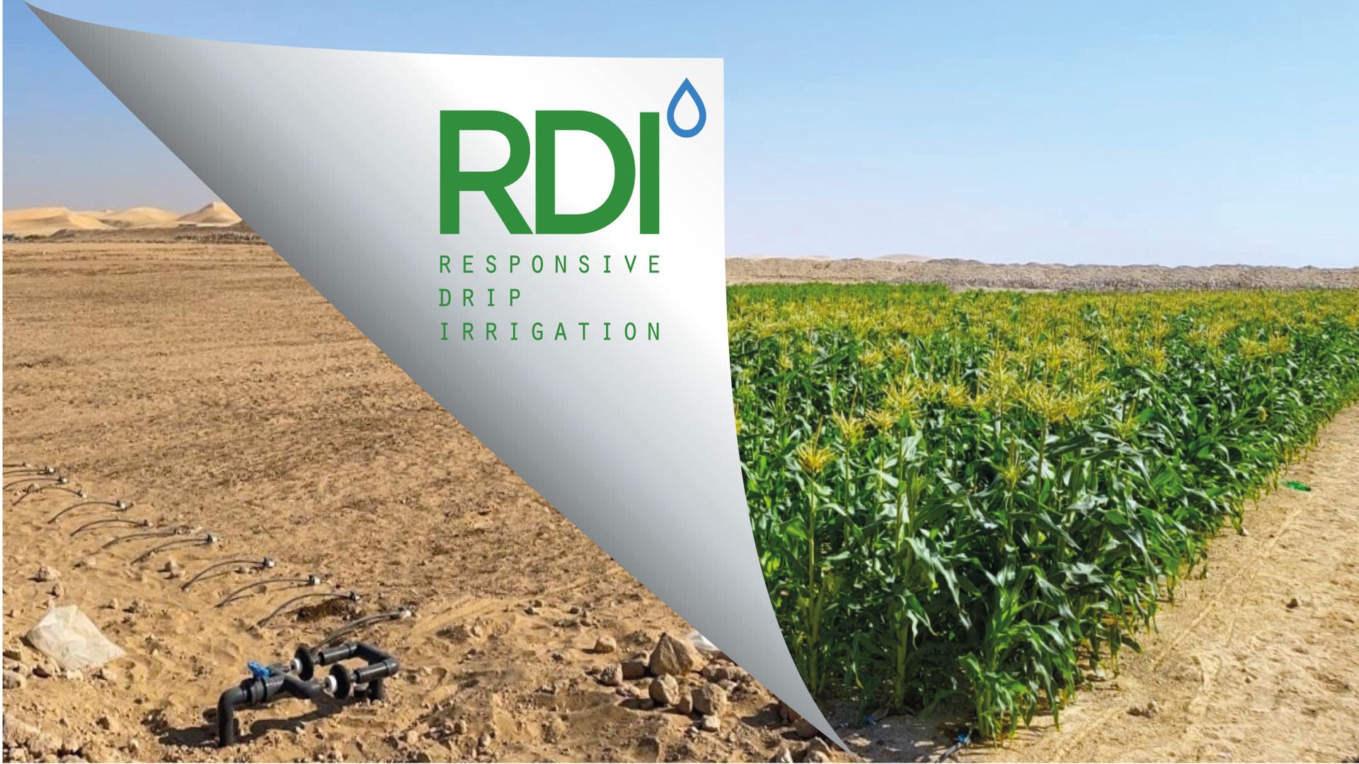 Contribution Plantresponsive irrigation to combat water waste