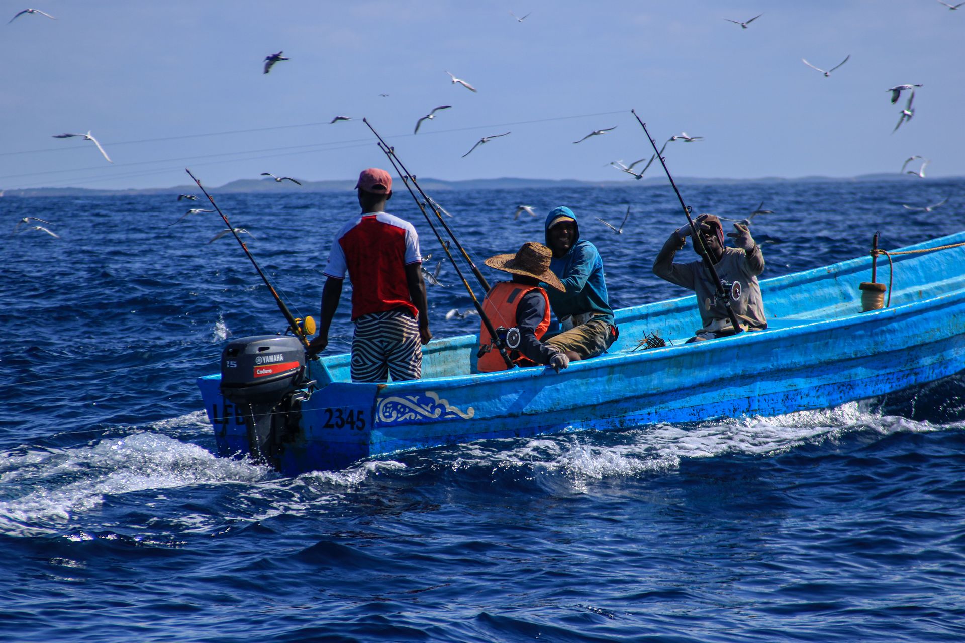 Contribution: Sustainable And Traceable Seafood To Conserve Marine ...