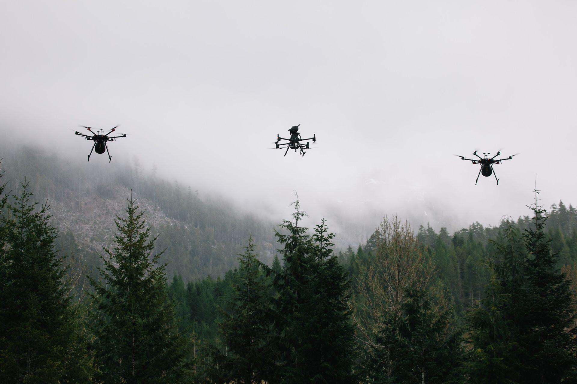 Contribution Scaling Post Wildfire Reforestation With Drones