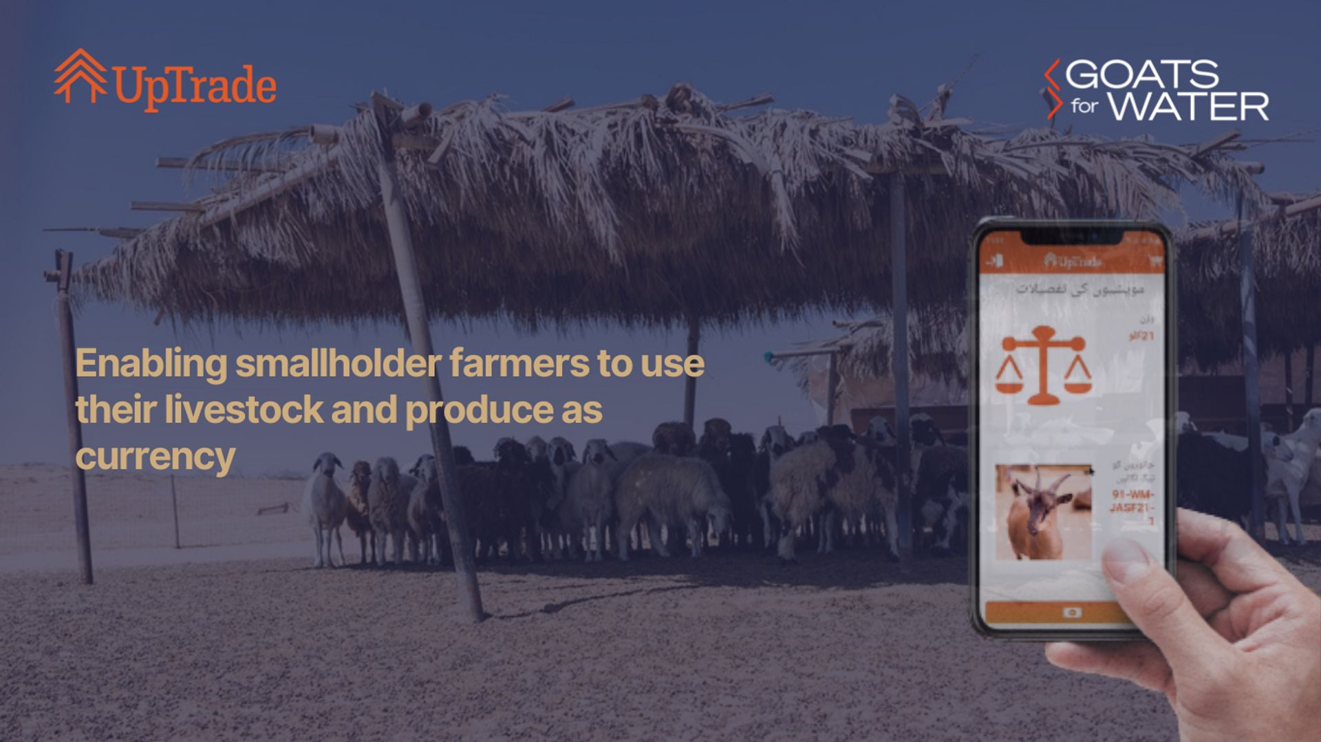 Contribution Enabling farmers to use livestock as currency to afford key technology