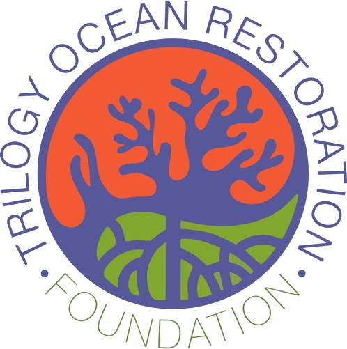 Trilogy Ocean Restoration: Improving Marine Ecosystem - UpLink ...