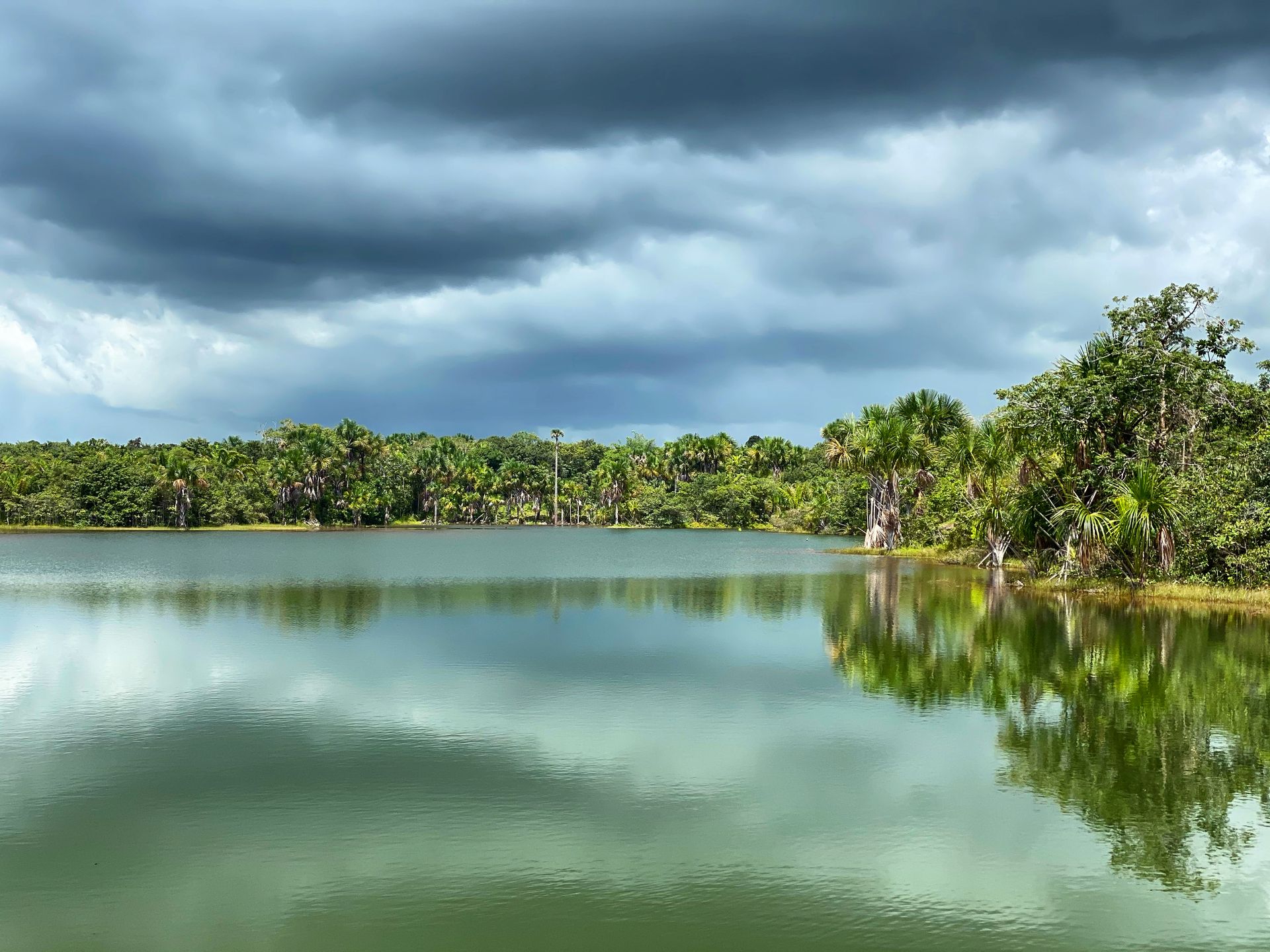 The Ocean Ranch Inc: Regenerative Fishmeal, Aquaculture & Agroforestry ...